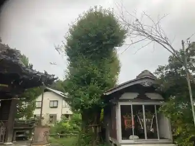 蛭子神社の自然