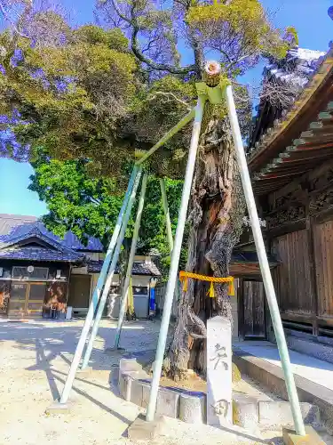 矢田神社の自然