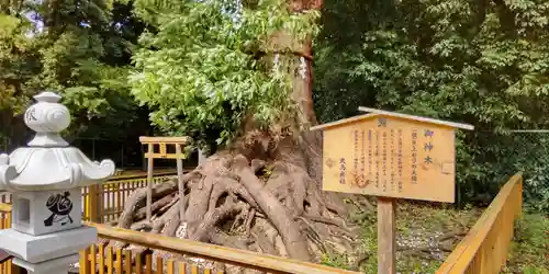 和泉國一之宮　大鳥大社(大阪府)