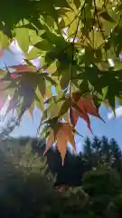 相馬神社(北海道)