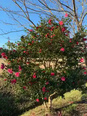 大嶽神社の自然