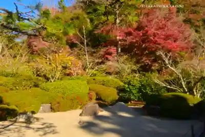 明月院(神奈川県)