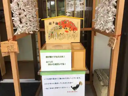 御誕生寺（猫寺）のおみくじ