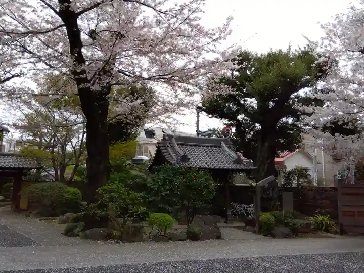 護国院(東京都)