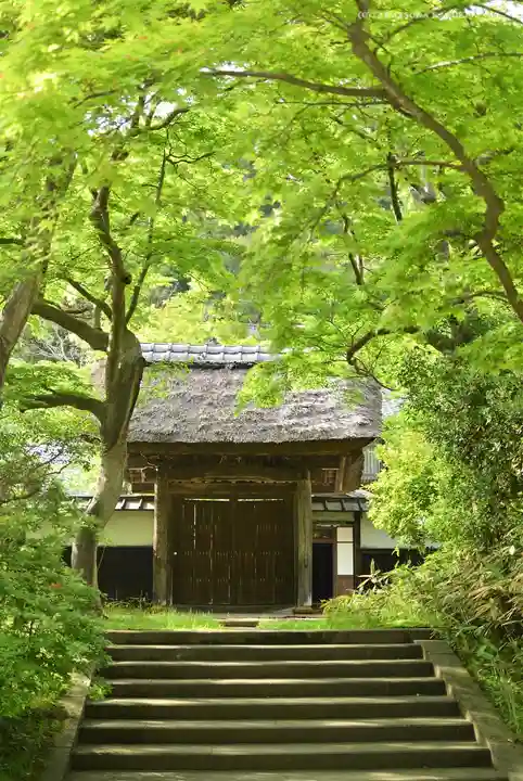 円覚寺(神奈川県)