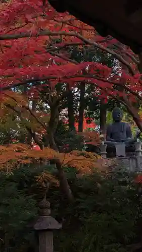 榮攝院（栄摂院）(京都府)