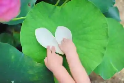 浄土寺(兵庫県)