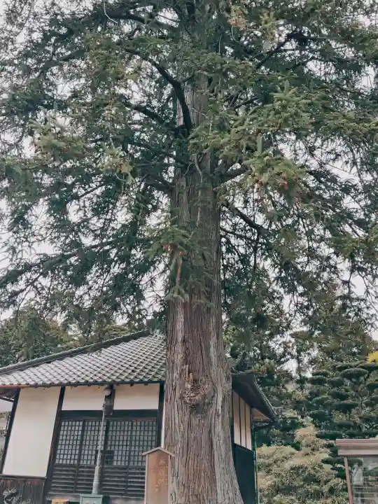 滝仙寺の{uncategorized: "未分類", other: "その他", undefined: "問題あり", building: "その他建物", grave: "お墓", sacred_gate: "鳥居", guardian: "狛犬", statue: "像", buddha: "仏像", history: "歴史", nature: "自然", garden: "庭園", animal: "動物", pagoda: "塔", temizu: "手水舎", mountain_gate: "山門・神門", sanctuary: "本殿・本堂", subordinate: "末社・摂社", art: "芸術", scenery: "景色", jizo: "地蔵", ema: "絵馬", goshuin: "御朱印", omikuji: "おみくじ", items: "授与品その他", amulet: "お守り", goshuincho: "御朱印帳", eats: "食事", festival: "お祭り", votive_dance: "神楽", shichigosan: "七五三参", wedding: "結婚式", experience: "体験その他", initially: "初詣", around: "周辺", anti_infection: "感染症対策"}