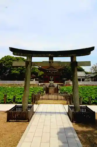伊賀八幡宮(愛知県)