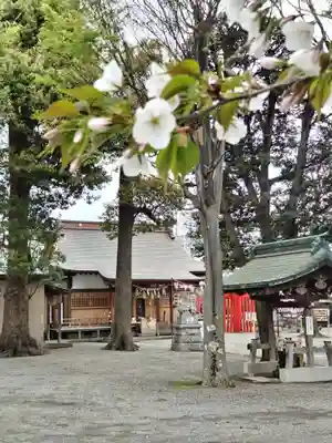相模原氷川神社(神奈川県)