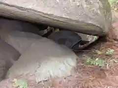 名草厳島神社の自然