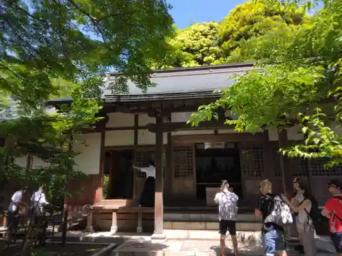 桂昌庵（円覚寺塔頭）(神奈川県)