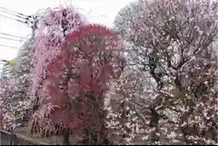 小村井 香取神社の庭園