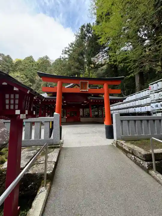 九頭龍神社新宮の{uncategorized: "未分類", other: "その他", undefined: "問題あり", building: "その他建物", grave: "お墓", sacred_gate: "鳥居", guardian: "狛犬", statue: "像", buddha: "仏像", history: "歴史", nature: "自然", garden: "庭園", animal: "動物", pagoda: "塔", temizu: "手水舎", mountain_gate: "山門・神門", sanctuary: "本殿・本堂", subordinate: "末社・摂社", art: "芸術", scenery: "景色", jizo: "地蔵", ema: "絵馬", goshuin: "御朱印", omikuji: "おみくじ", items: "授与品その他", amulet: "お守り", goshuincho: "御朱印帳", eats: "食事", festival: "お祭り", votive_dance: "神楽", shichigosan: "七五三参", wedding: "結婚式", experience: "体験その他", initially: "初詣", around: "周辺", anti_infection: "感染症対策"}