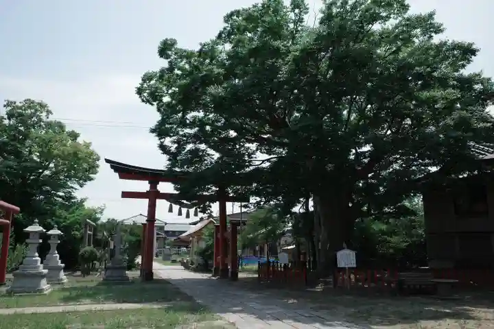 曽根神社の自然