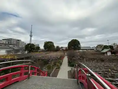 亀戸天神社(東京都)