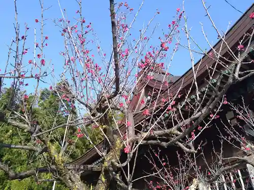 立野天神社（浅野）(愛知県)