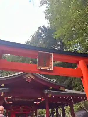 九頭龍神社新宮(神奈川県)