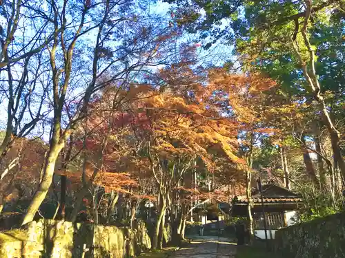 金剛輪寺(滋賀県)