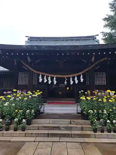 峯ヶ岡八幡神社(埼玉県)