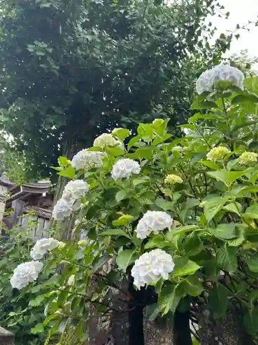 粟井神社(香川県)
