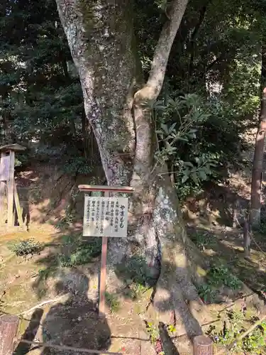 金福寺(京都府)