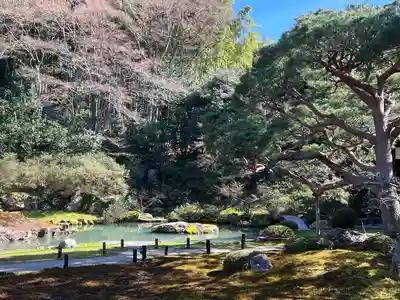 青蓮院門跡(京都府)