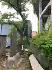 （芝生）浅間神社の建物その他