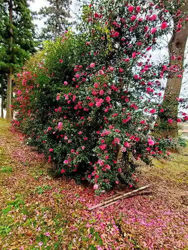 神炊館神社 ⁂奥州須賀川総鎮守⁂の自然