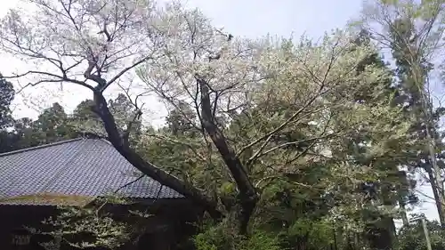 長谷寺の庭園