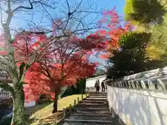 平等院の建物その他