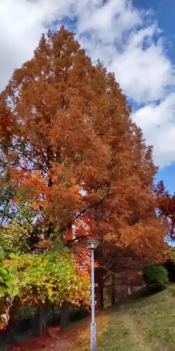 古江稲荷神社(大阪府)
