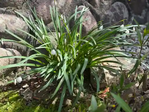 西方山極楽寺(岐阜県)