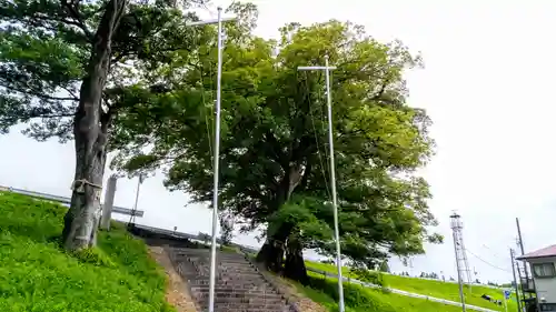 星神社の自然