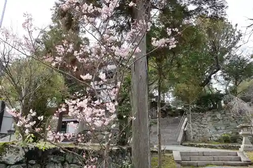 伊太祁曽神社(和歌山県)