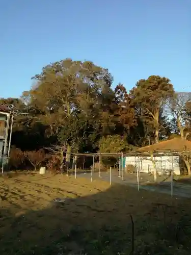 諏訪神社の景色