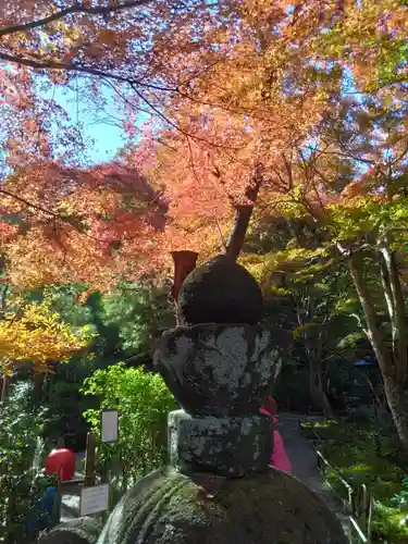 明月院(神奈川県)