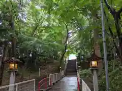 下総国三山　二宮神社の自然