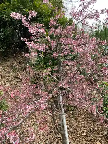 埼玉厄除け開運大師・龍泉寺（切り絵御朱印発祥の寺）(埼玉県)