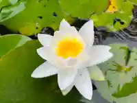 真言宗 善通寺派 薬王寺の自然