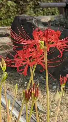 後白河院御聖蹟　法住寺(京都府)