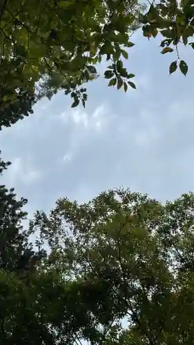 陸奥総社宮(宮城県)