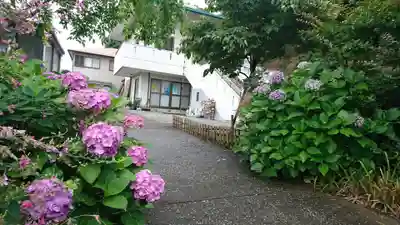 正蓮寺のその他建物