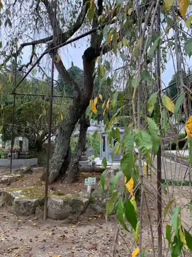 金剛寺(茨城県)