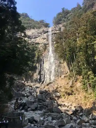 飛瀧神社（熊野那智大社別宮）の自然