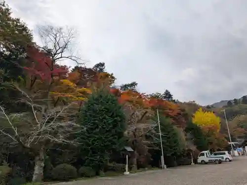 宝登山神社(埼玉県)