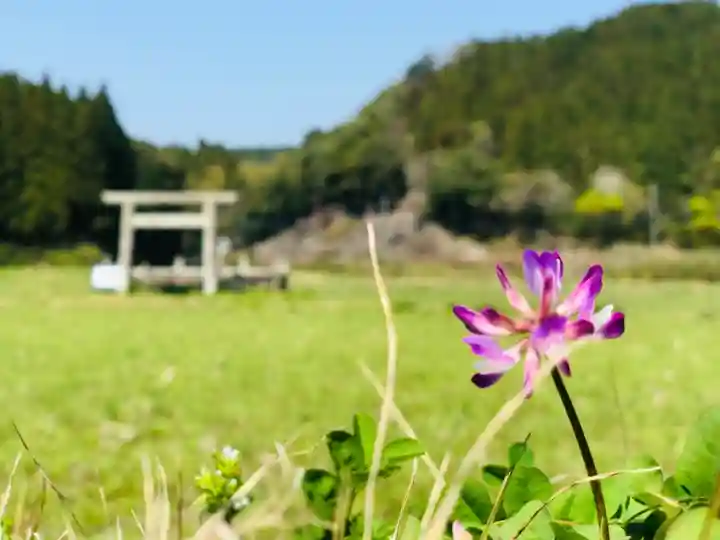 豊玉姫神社の自然