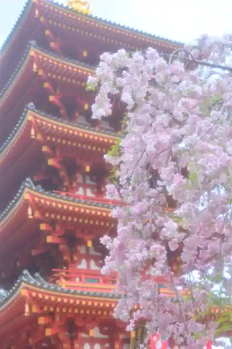 高幡不動尊 金剛寺(東京都)