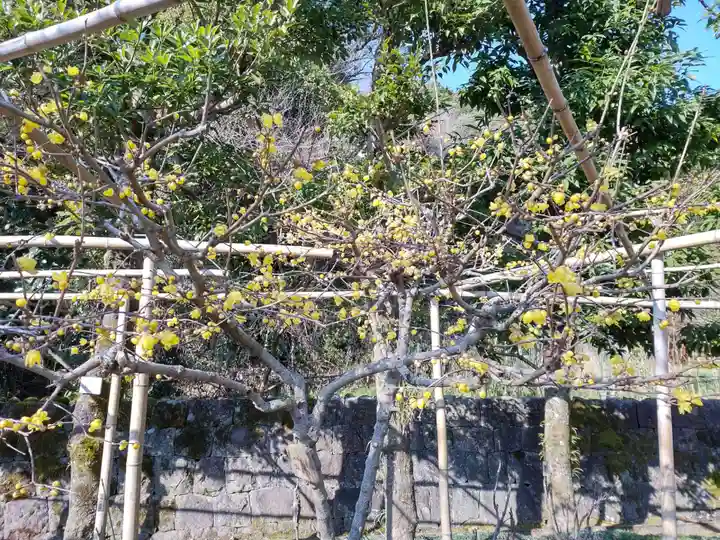 祐徳稲荷神社(佐賀県)