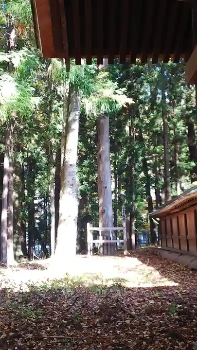 諏訪大社下社秋宮(長野県)